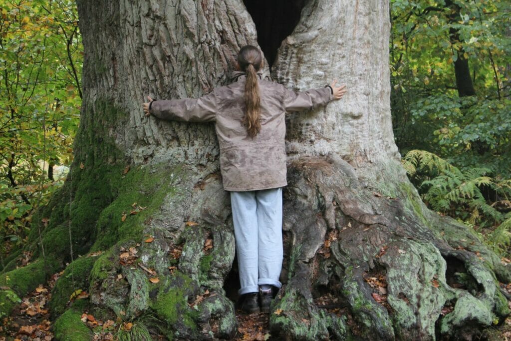 Kind umarmt eine riesigen Baum